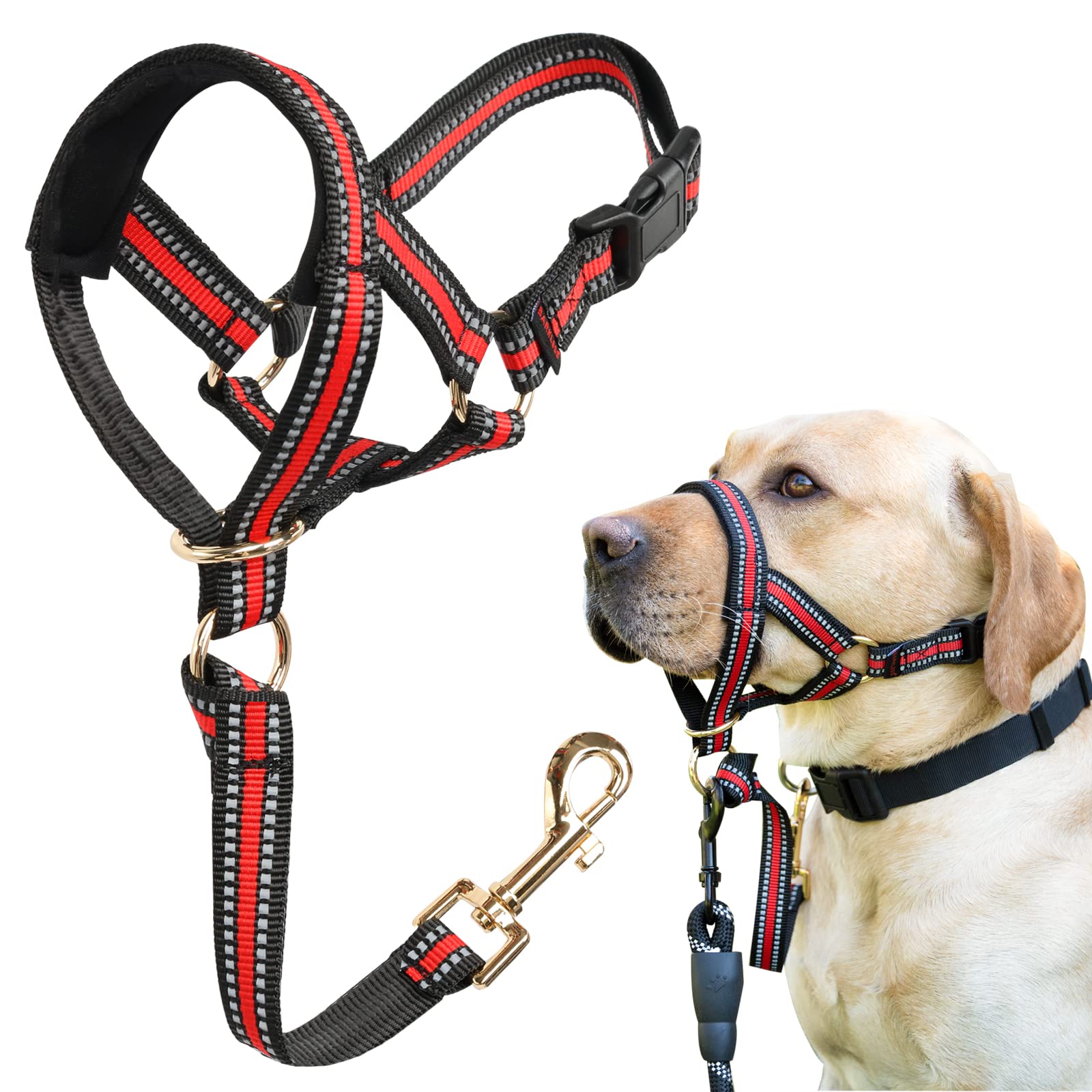 BARKLESS musera con ajuste perfecto para perros pequeños y control suave en el paseo.