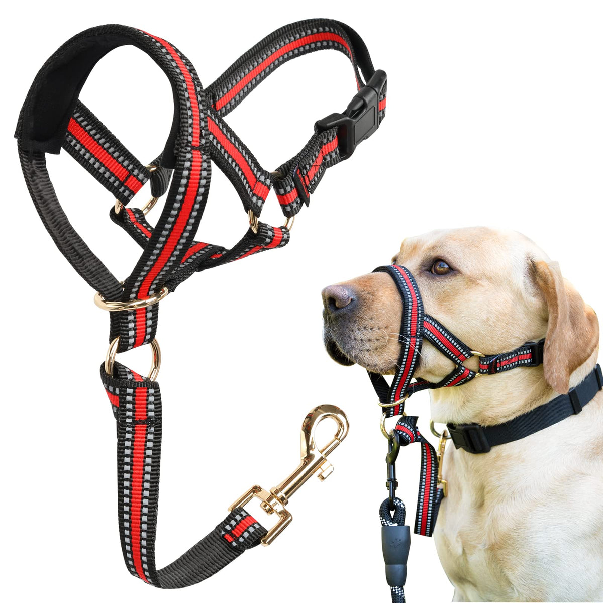 BARKLESS musera con ajuste perfecto para perros pequeños y control suave en el paseo.