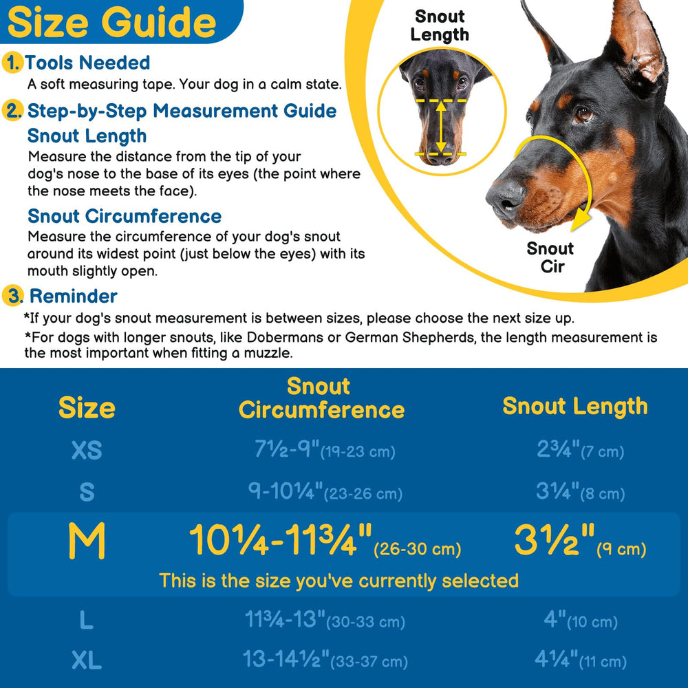 Prevención de ingestión de objetos con Barkless durante paseos