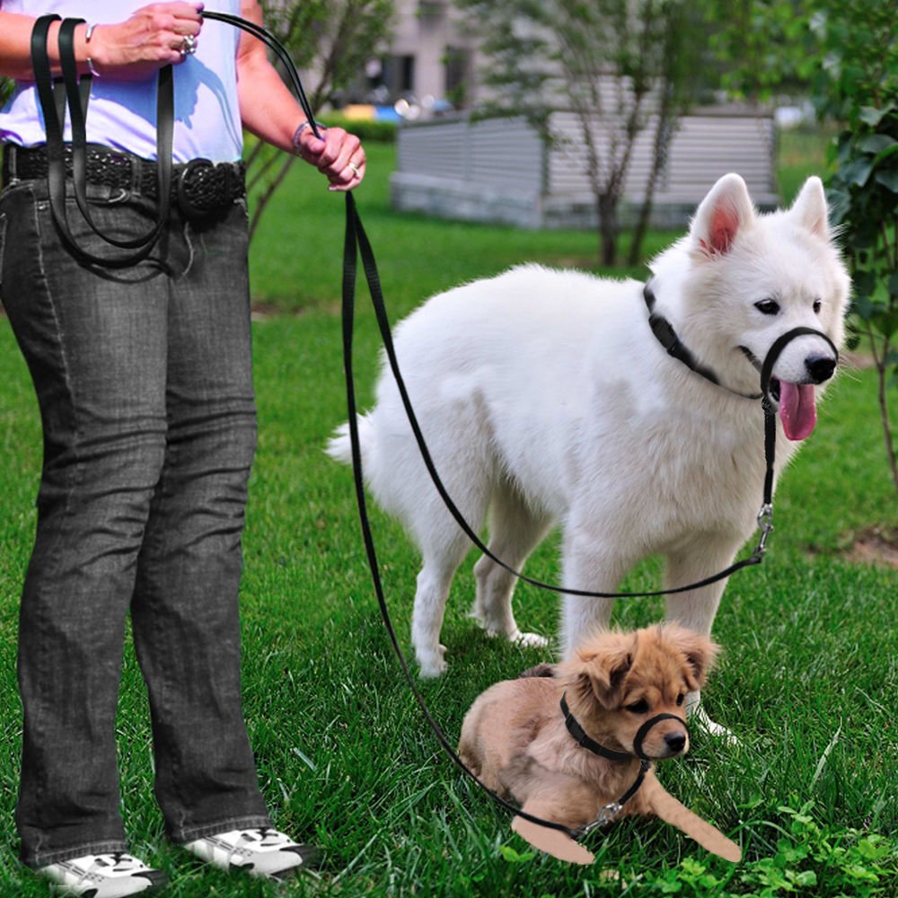 BARKLESS nariz-neopreno-ajuste cómodo y flexible.