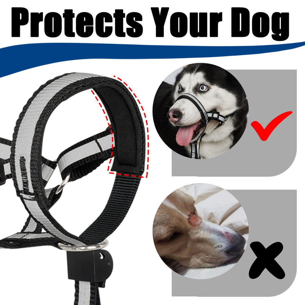 BARKLESS tiras reflectantes mejoran la visibilidad en poca luz