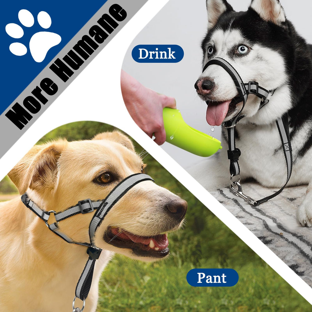 BARKLESS paseos diarios más seguros para perros pequeños