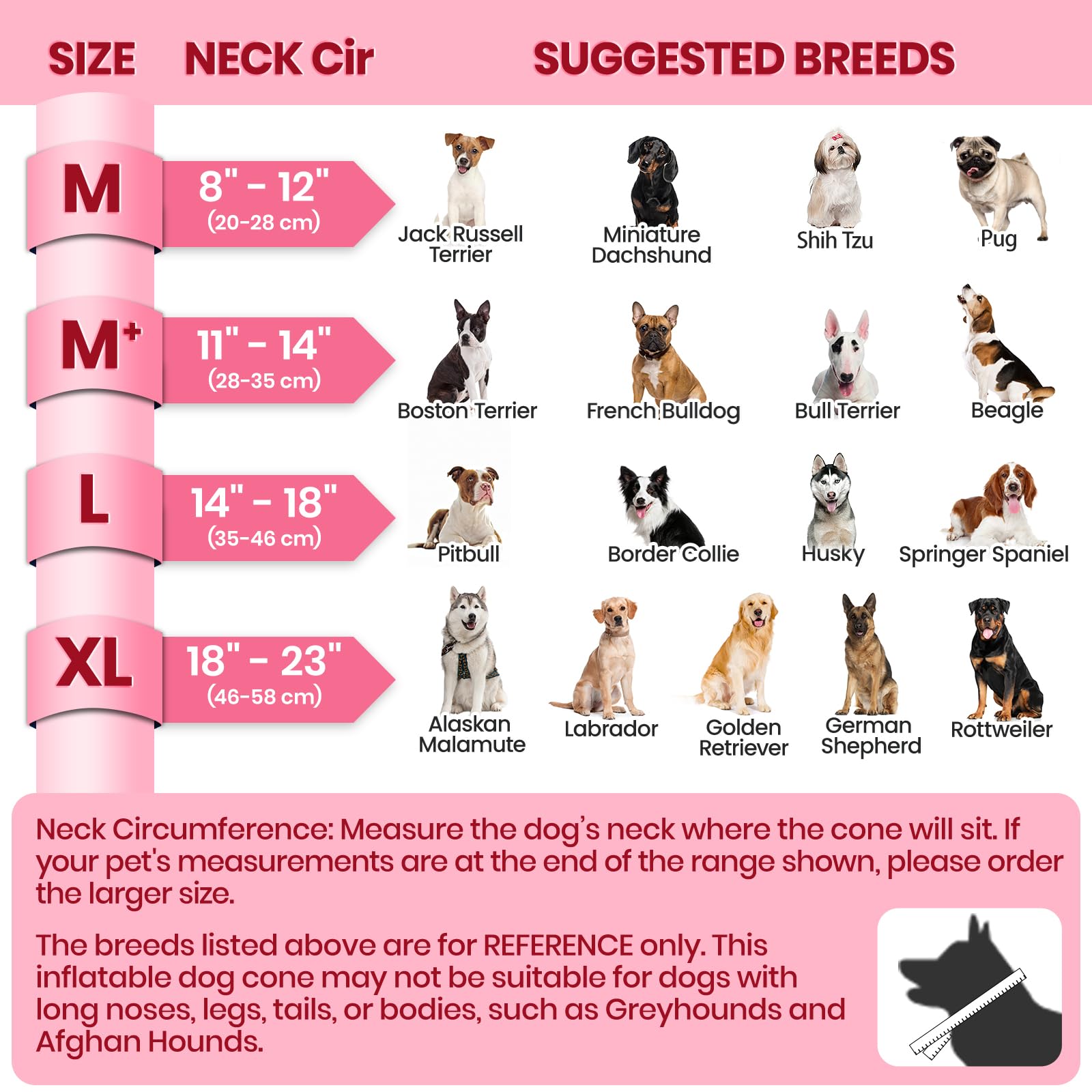 Prueba de ajuste y desensibilización para perros con Barkless, adaptación suave