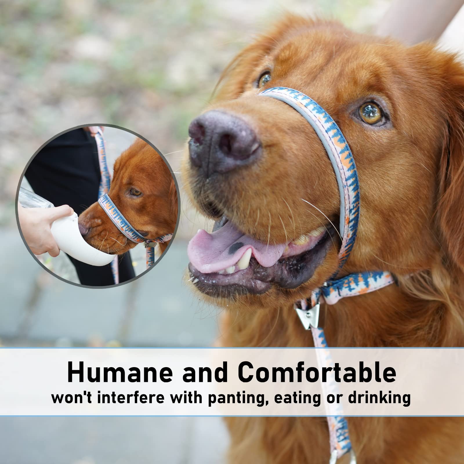 BARKLESS set collar y correa completa para entrenamiento diario.