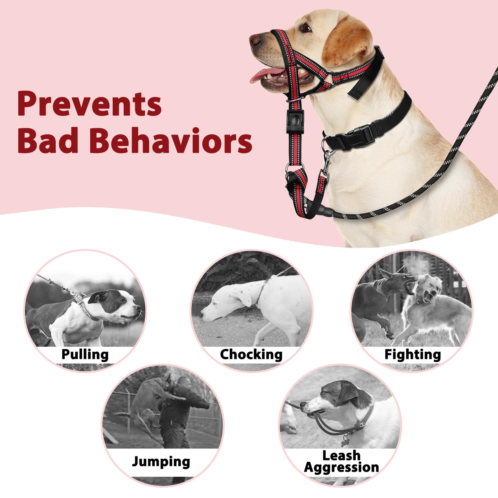 BARKLESS sistema de seguridad con leash para uso al aire libre.