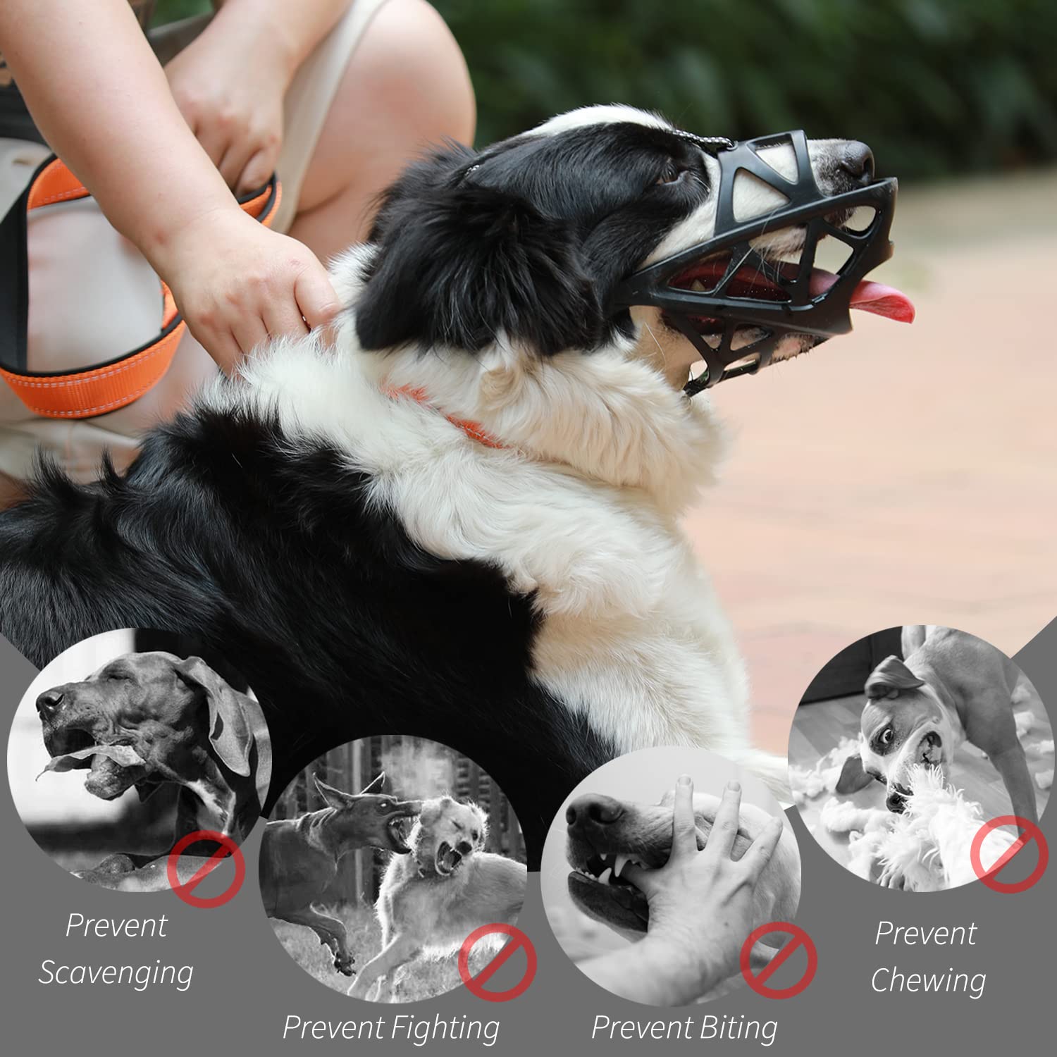 BARKLESS sistema de seguridad, evita que el perro se quite el bozal.