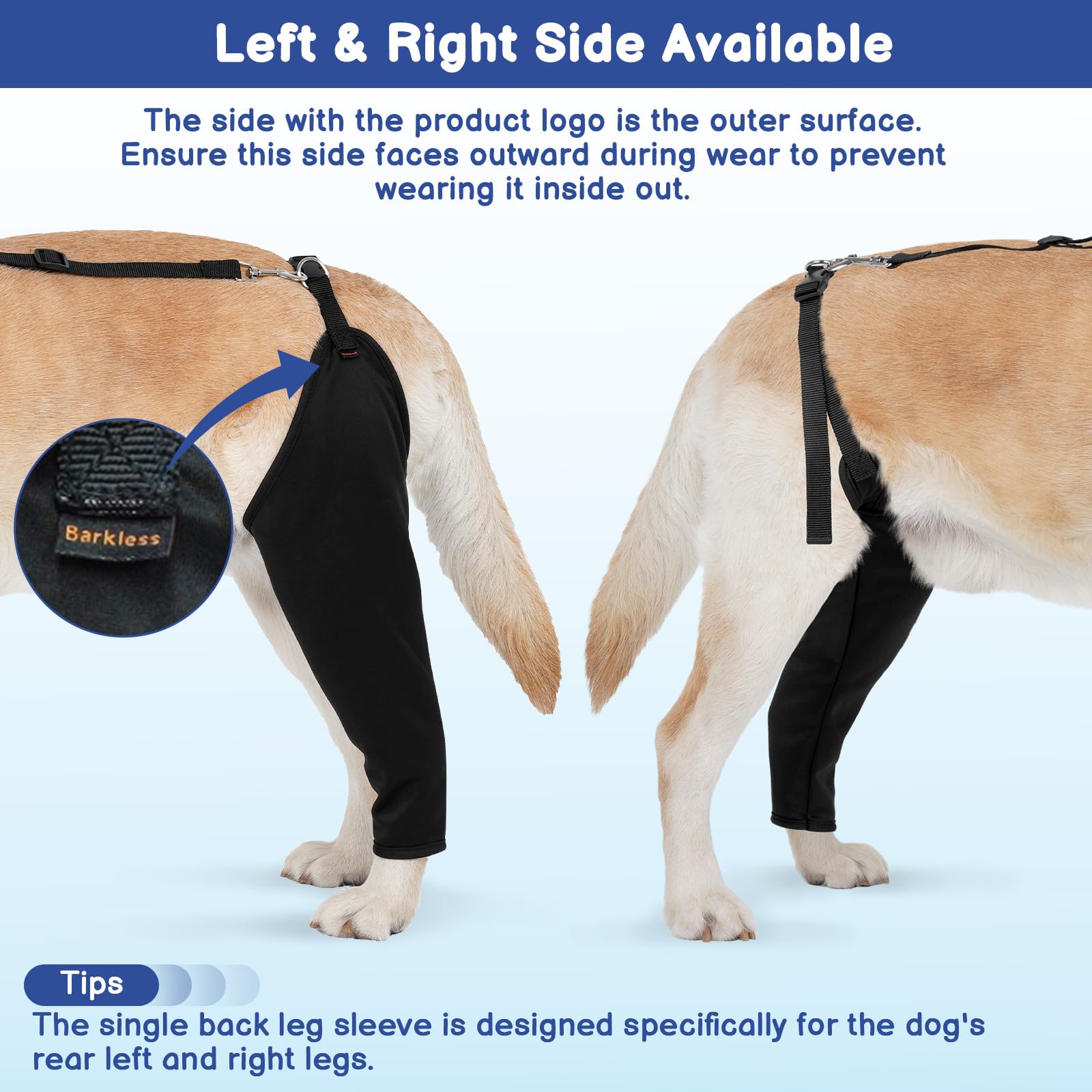 BARKLESS sistema de union con collar evita deslizamientos.