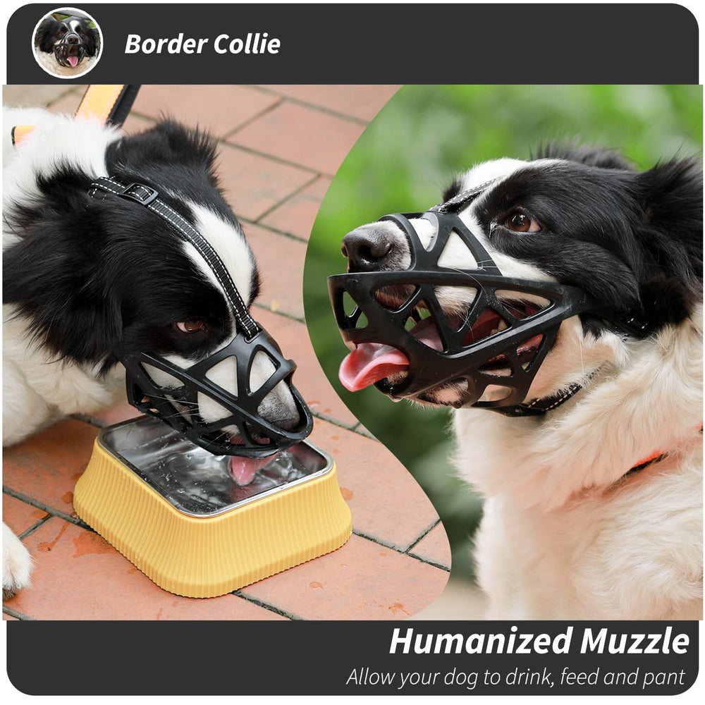 BARKLESS talla adecuada, ajuste preciso para perros medianos y grandes.