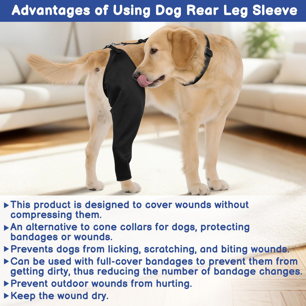 BARKLESS uso diario durante la recuperacion del perro.