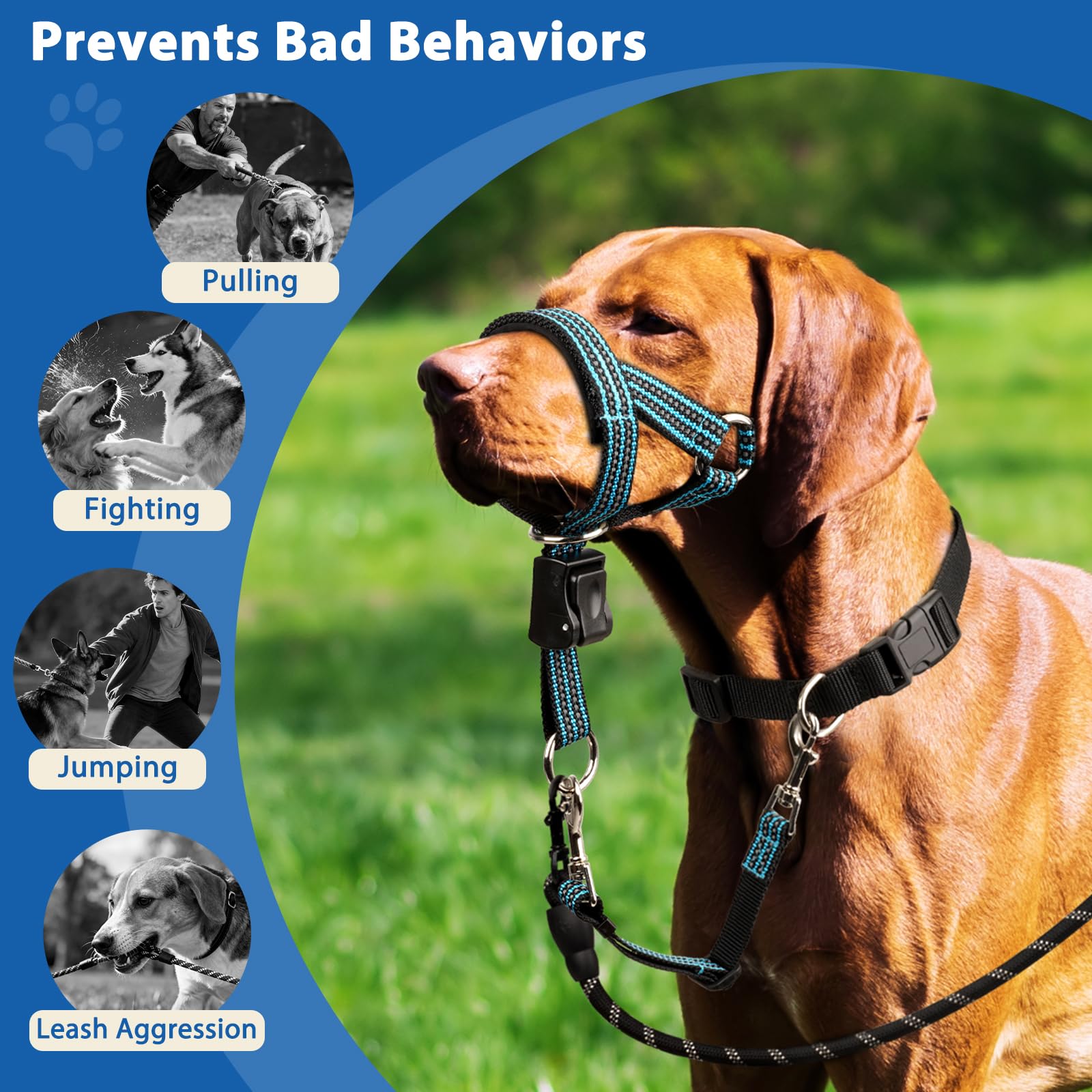 BARKLESS uso fácil y rápido de colocar para principiantes.