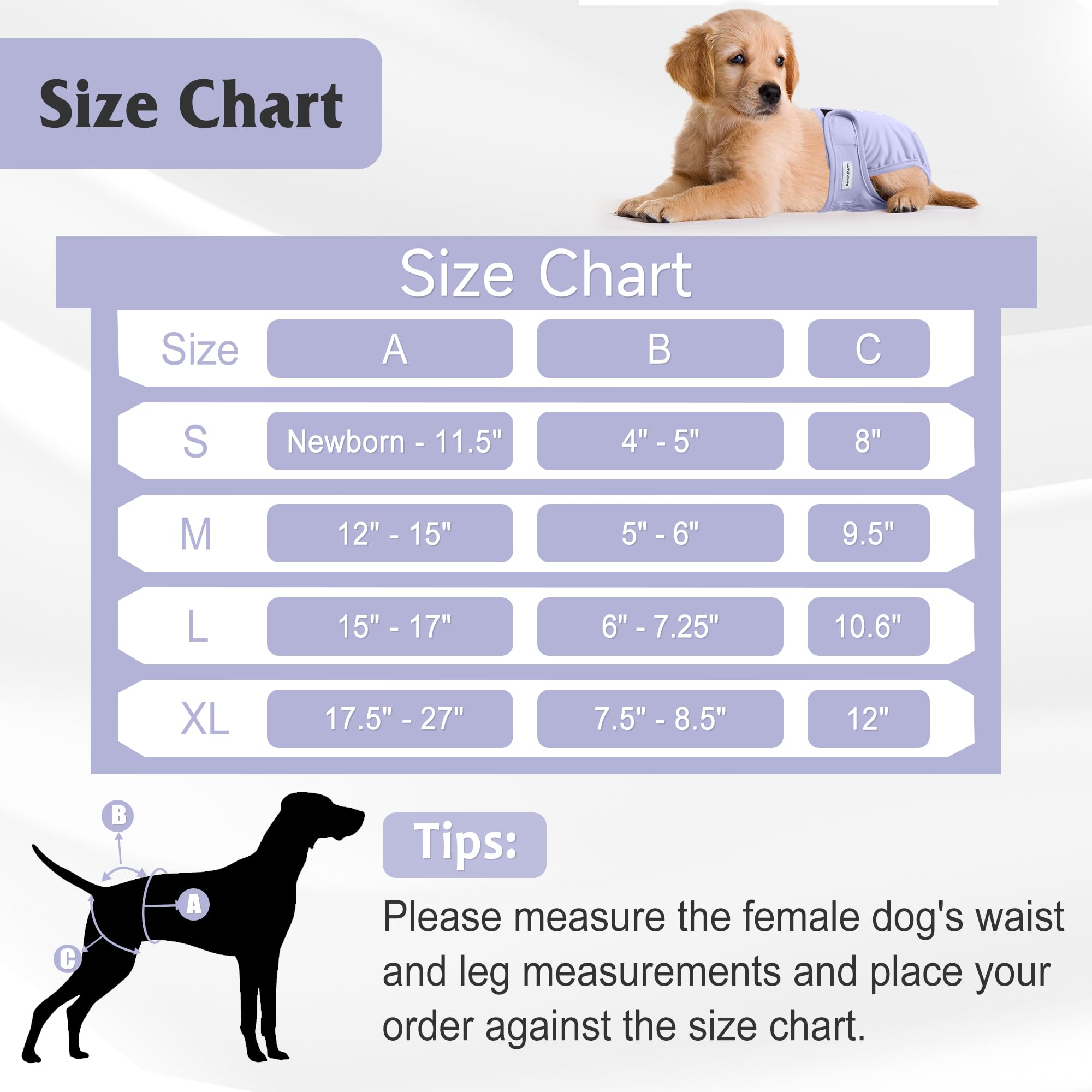 Pañales reutilizables Barklincharm para perras mujer: opción ecológica y duradera.