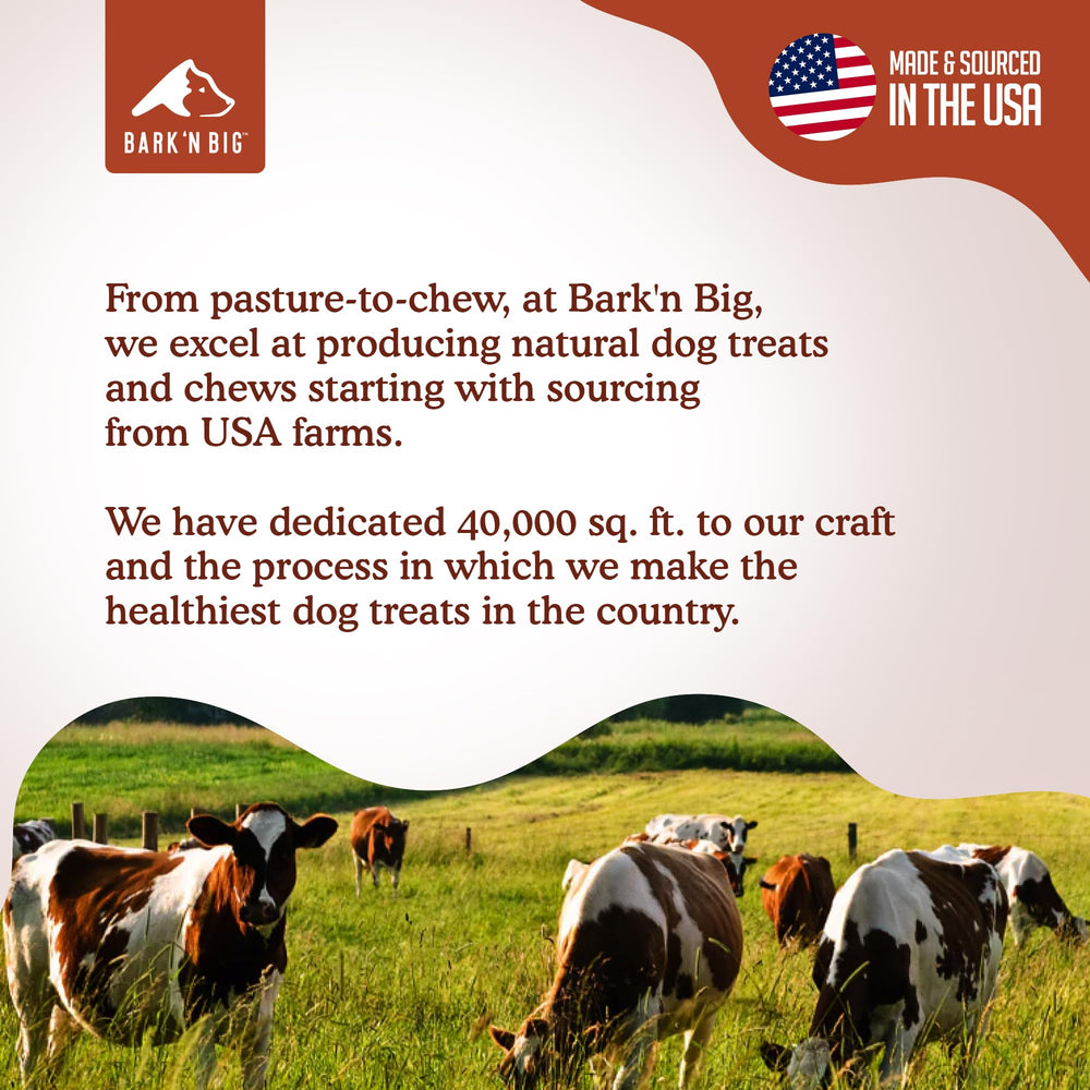 BARK'N BIG premio de entrenamiento para perros durante sesiones.