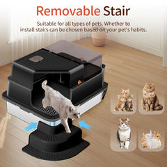 Bartuke XXXL escalera removible de dos peldaños para gatos de todas las edades