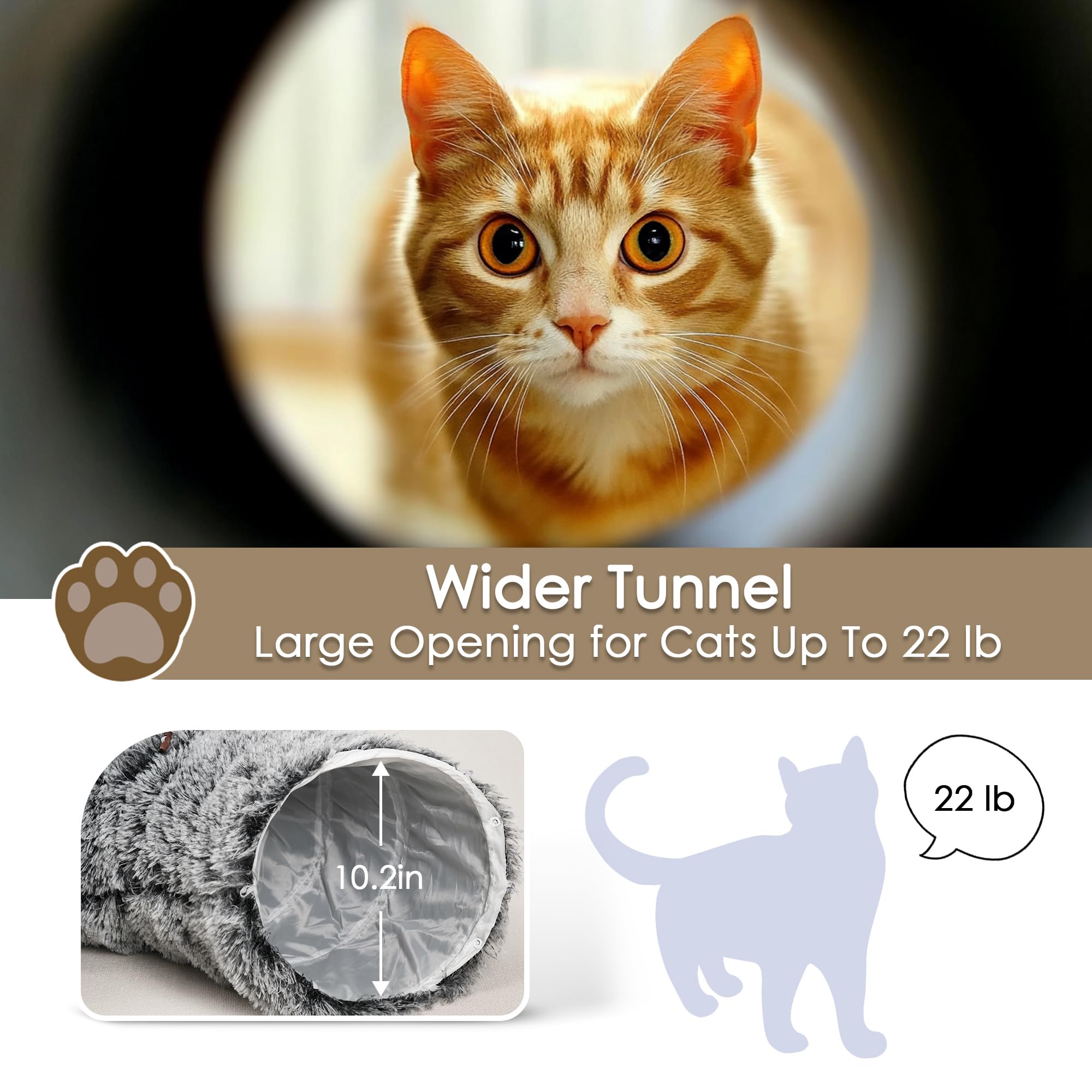 Baseola túnel para gatos: juguete colgante interior para interacción y juego adicional.