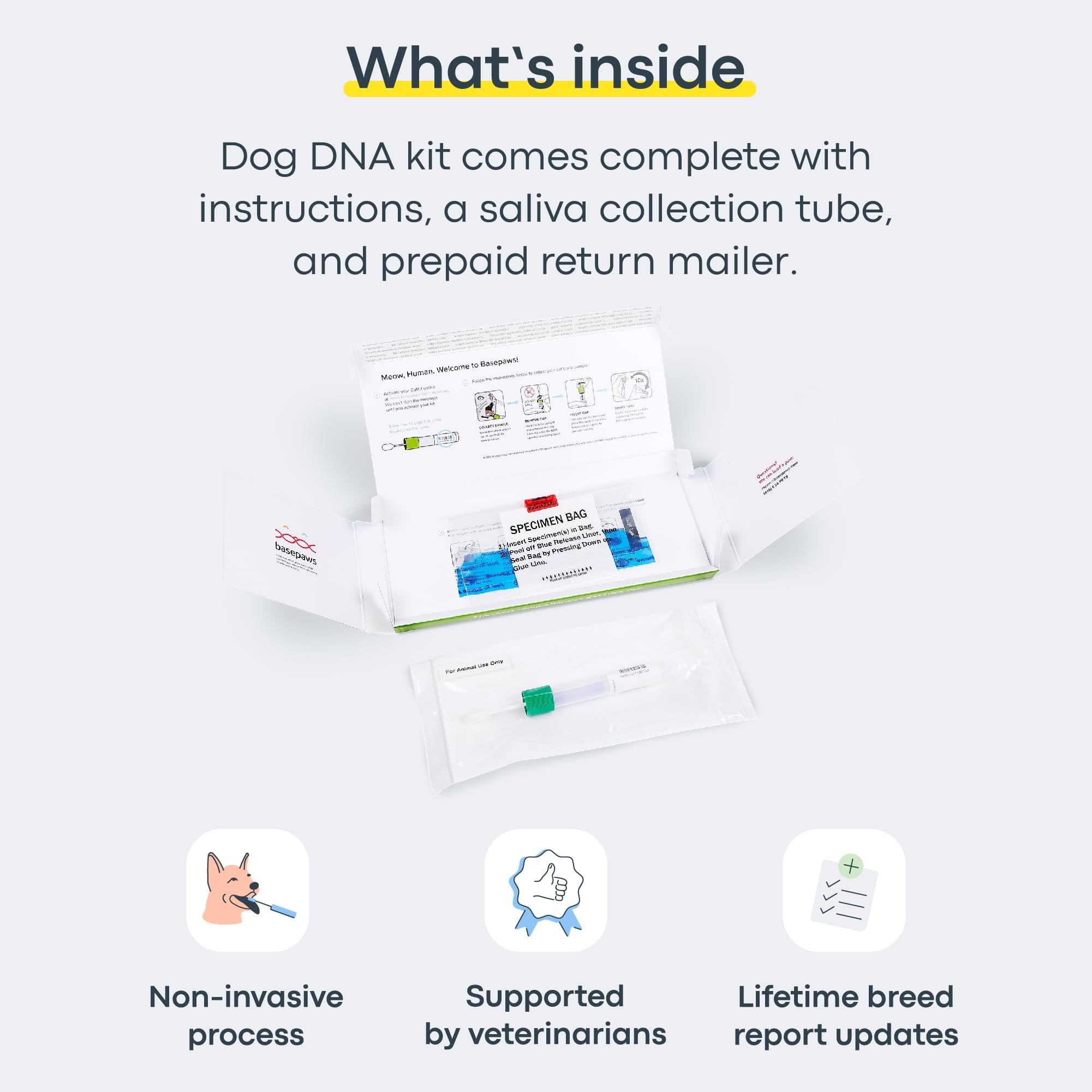 Basepaws características ADN perro rasgos, identifica más de 30 rasgos de mezcla