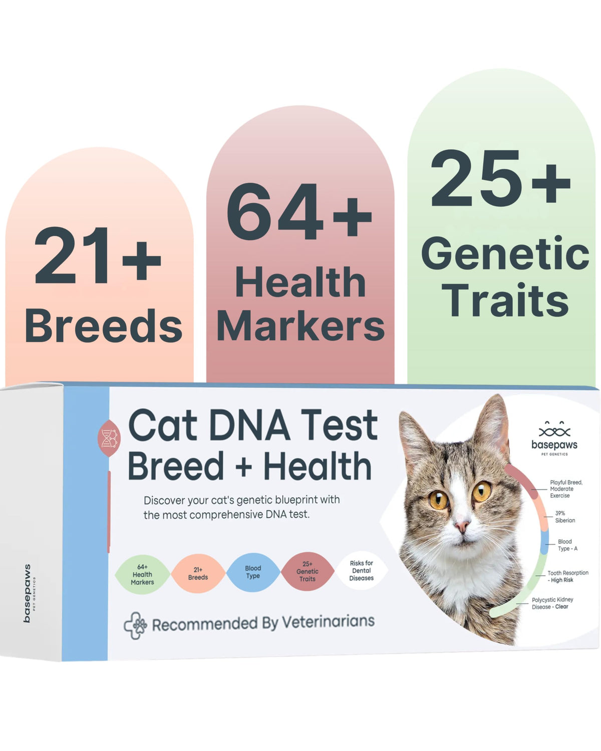 Basepaws Kit ADN para Gatos: presentación de la caja lista para empezar.
