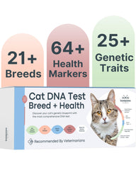 Basepaws Kit ADN para Gatos: presentación de la caja lista para empezar.