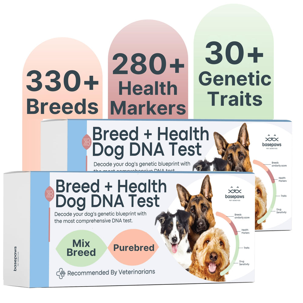 Basepaws kit ADN perro dos unidades, ideal para identificar la herencia de tu perro en casa