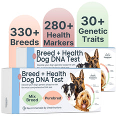 Basepaws kit ADN perro dos unidades, ideal para identificar la herencia de tu perro en casa