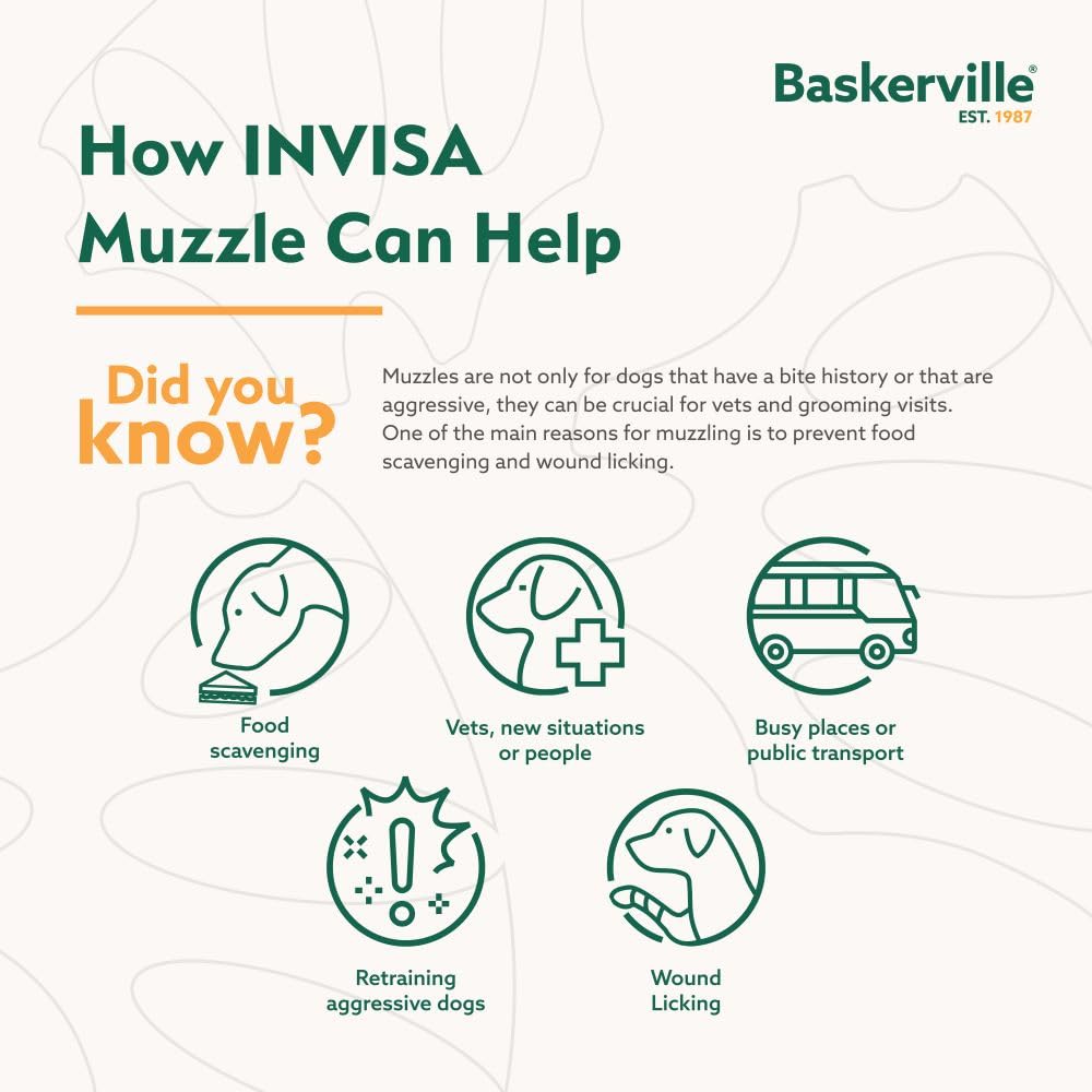 Baskerville INVISA, diseño reflectante para mayor visibilidad en la oscuridad.