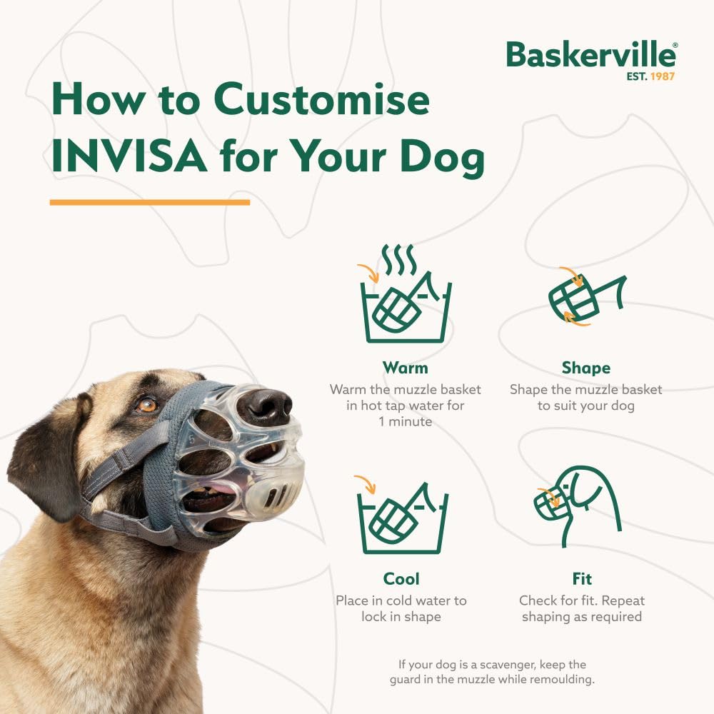 Mordaza Baskerville INVISA diseño transparente facilita lectura de expresiones por veterinarios y cuidadores.
