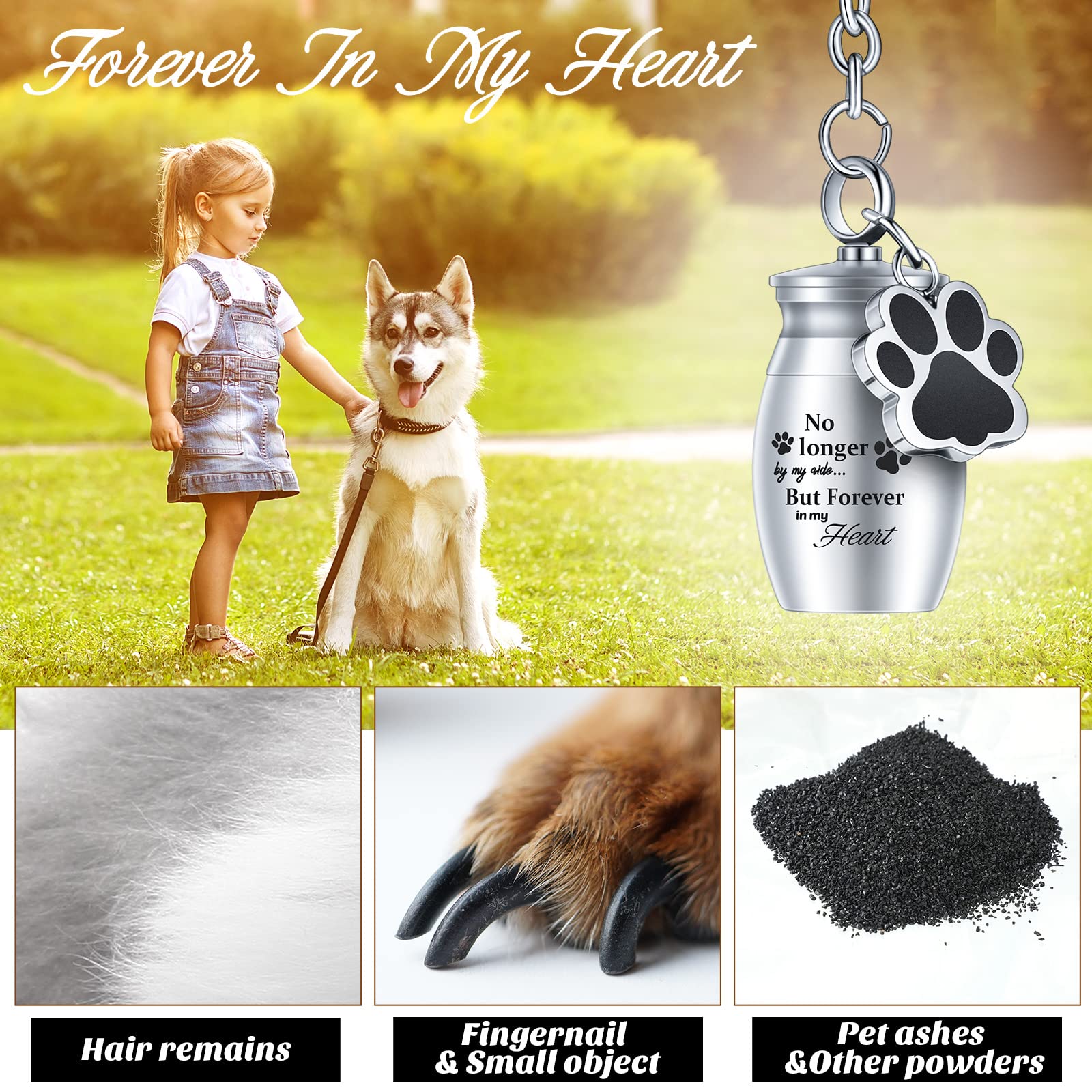 Juego de cuatro urnas Batiyeer para mascota, colores vivos para elegir.