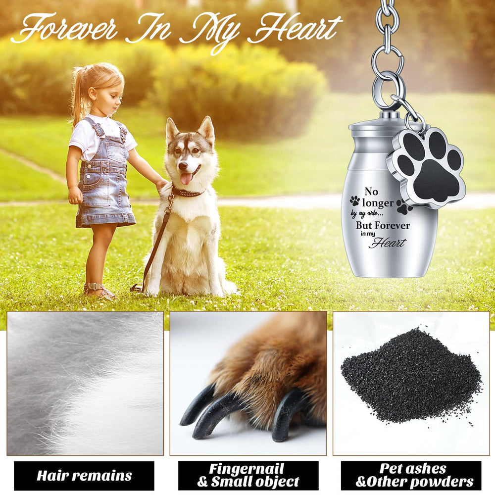 Juego de cuatro urnas Batiyeer para mascota, colores vivos para elegir.