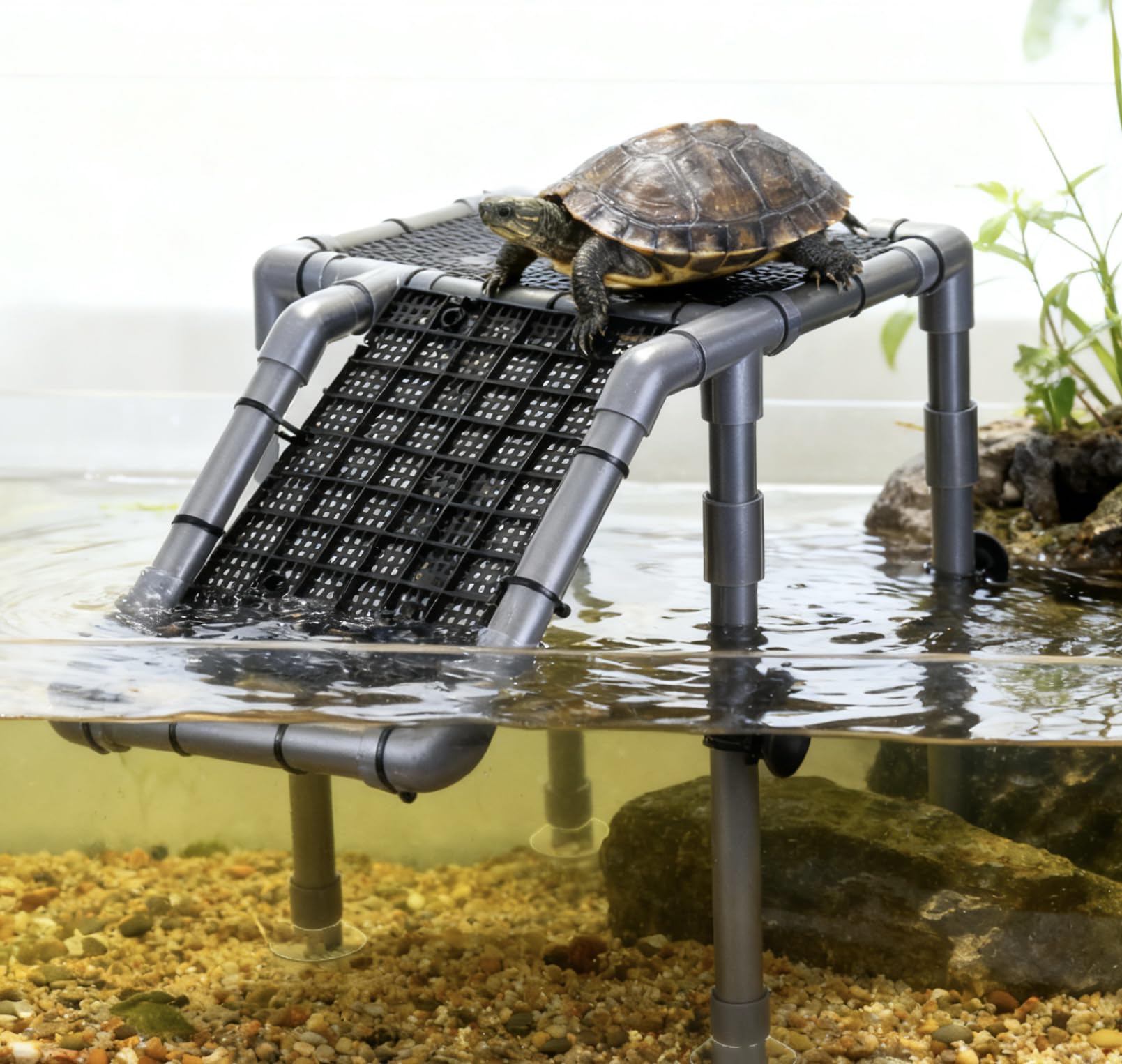Battbeyle plataforma tortuga compatible con acuarios grandes