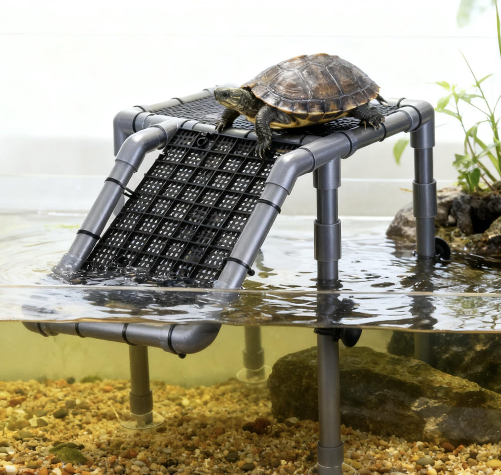 Battbeyle plataforma tortuga compatible con acuarios grandes