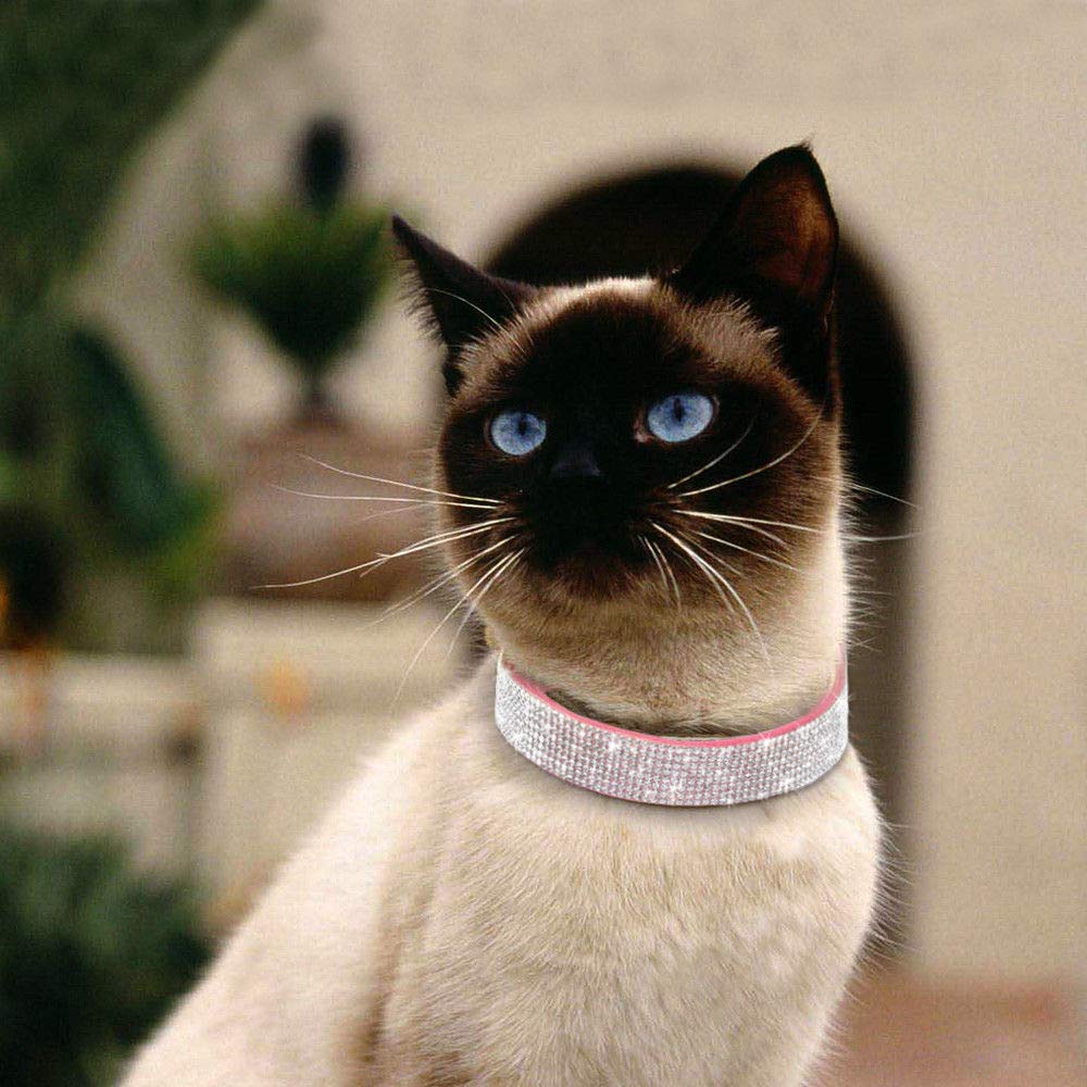 Collar Bbmmayy con diamantes brillantes, añade un toque de lujo a la mascota.