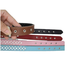 Bbmmayy collar con hebilla de ajuste de metal para seguridad.