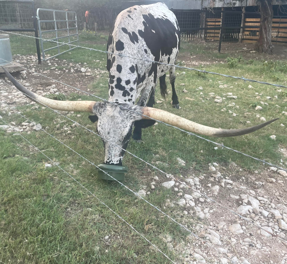 The Mote: diseño sencillo que encaja en diferentes comederos.