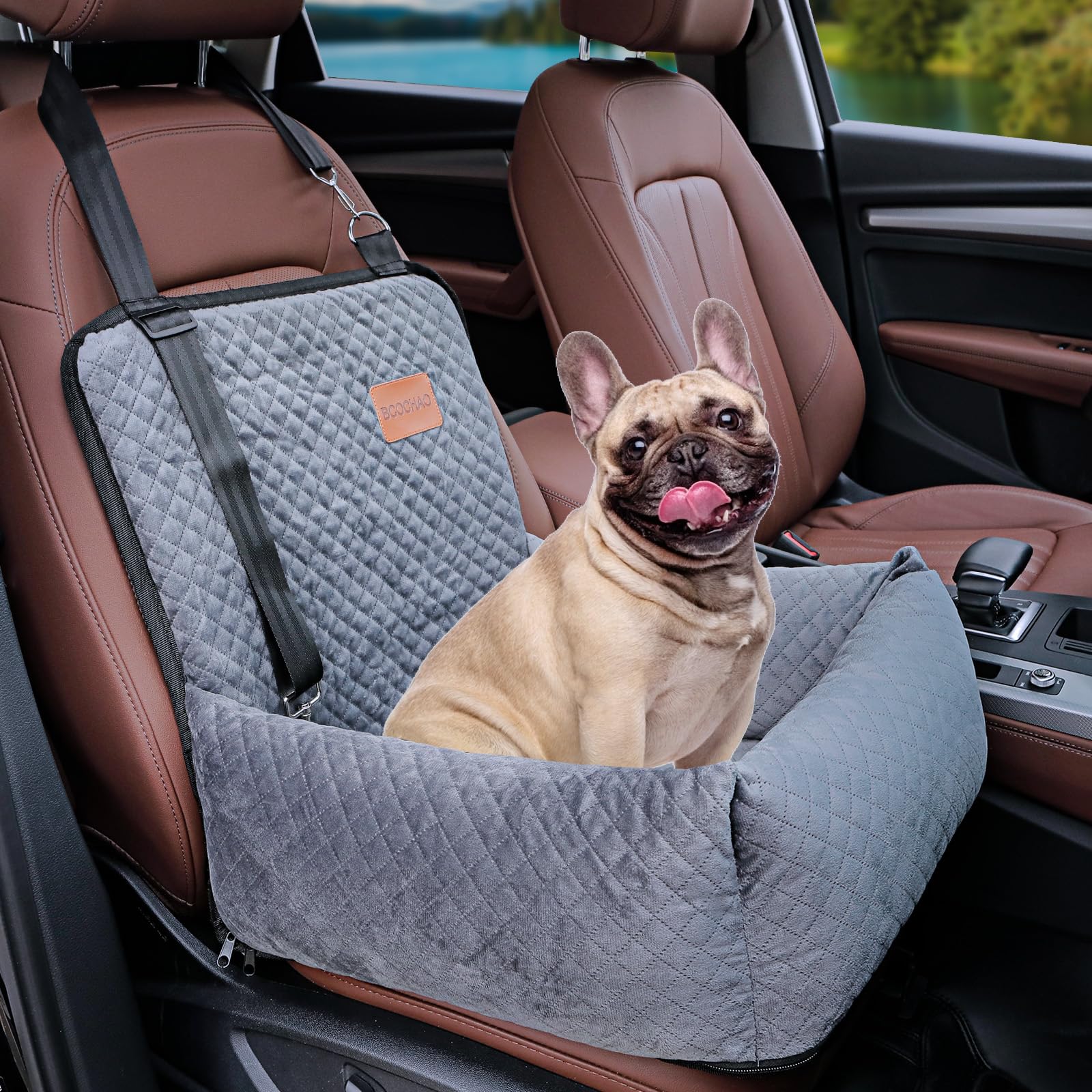 BCOCHAO asiento-coche-perro-booster: confort y seguridad en cada viaje