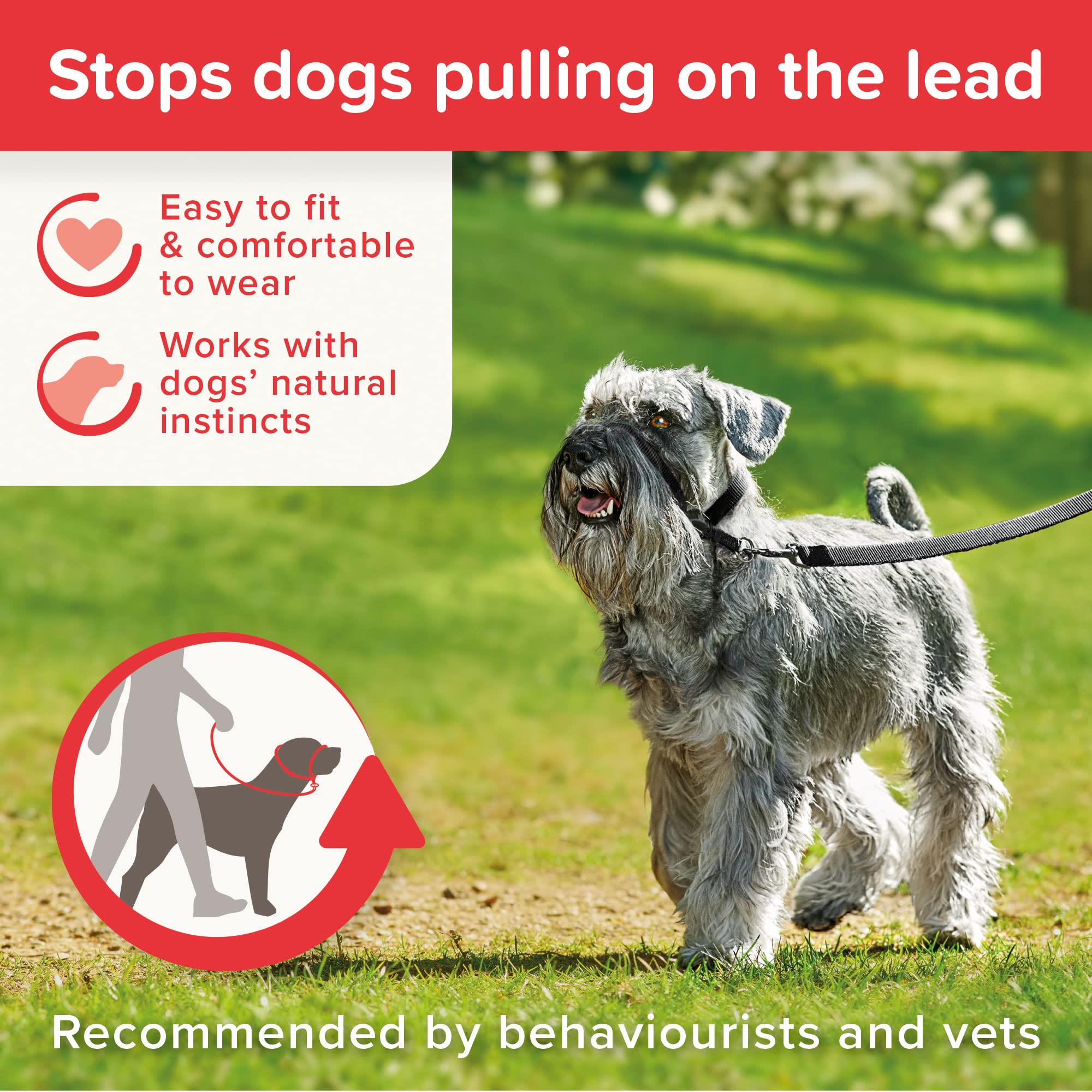 Beaphar Gentle Leader ofrece diferentes tallas para perros pequeños y adultos.