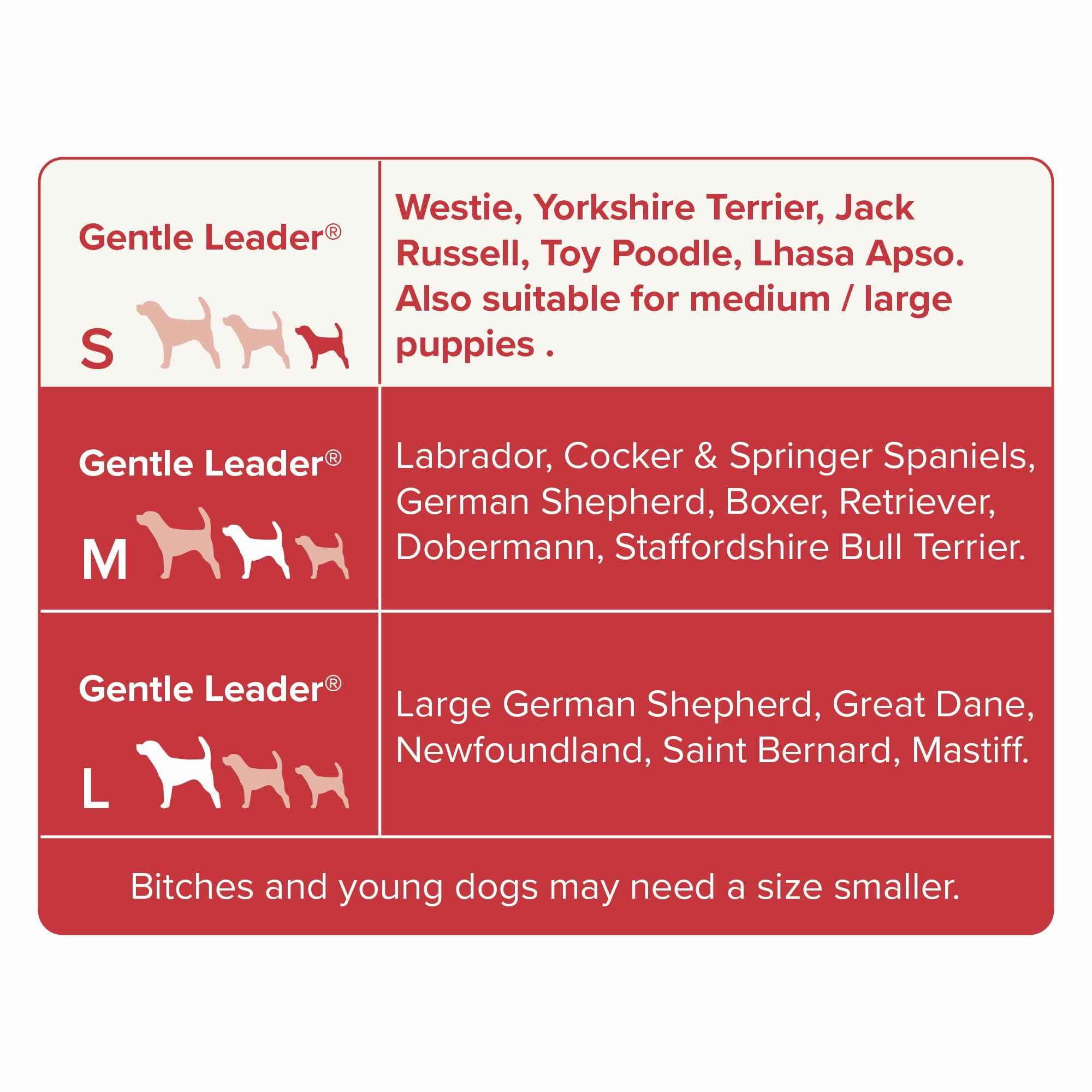 Beaphar Gentle Leader facilita entrenamiento inmediato en paseos para perros pequeños