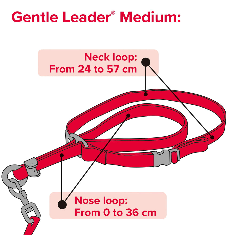 Beaphar Gentle Leader: tamaño mediano para perros en crecimiento.