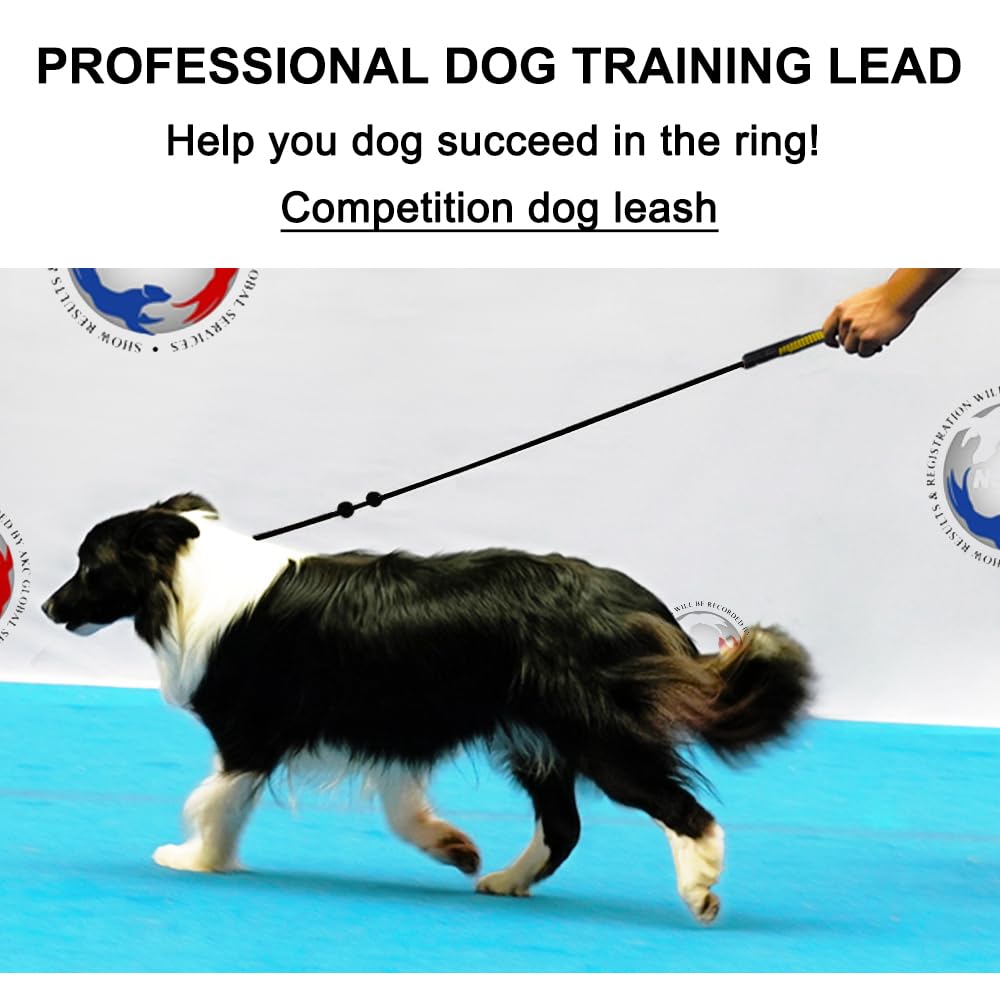 BeauGo cuerda de adiestramiento para perro, nylon ligero y cómodo para sesiones de entrenamiento.