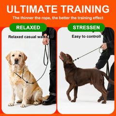 BeauGo diseño ultra fino para entrenamiento, ligereza y respuesta rápida durante paseos.