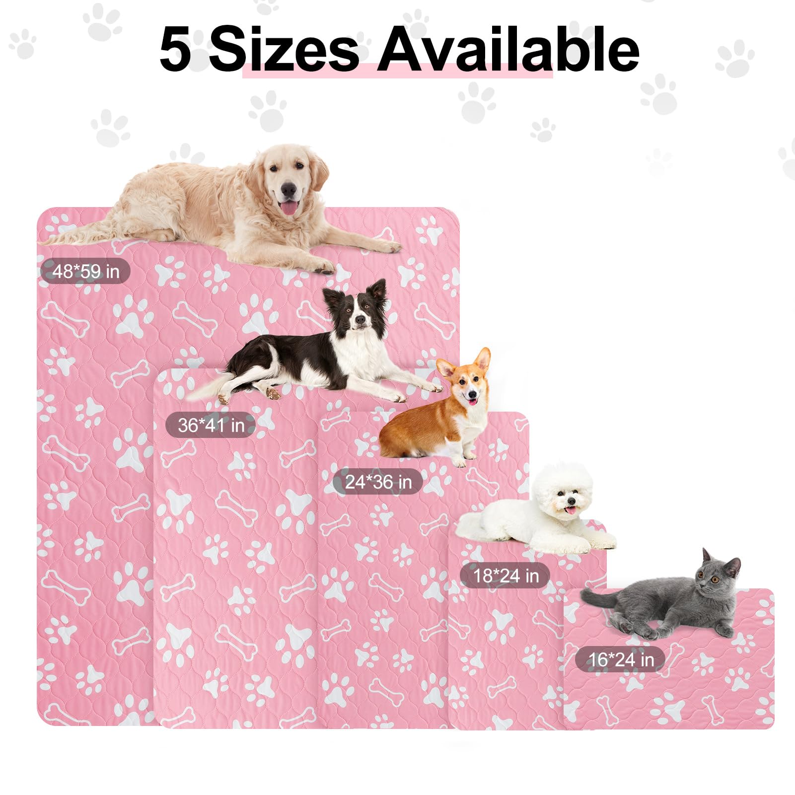 BEAUTYZOO almohadillas antideslizantes para perros 18x24, seguridad al caminar sobre suelos lisos