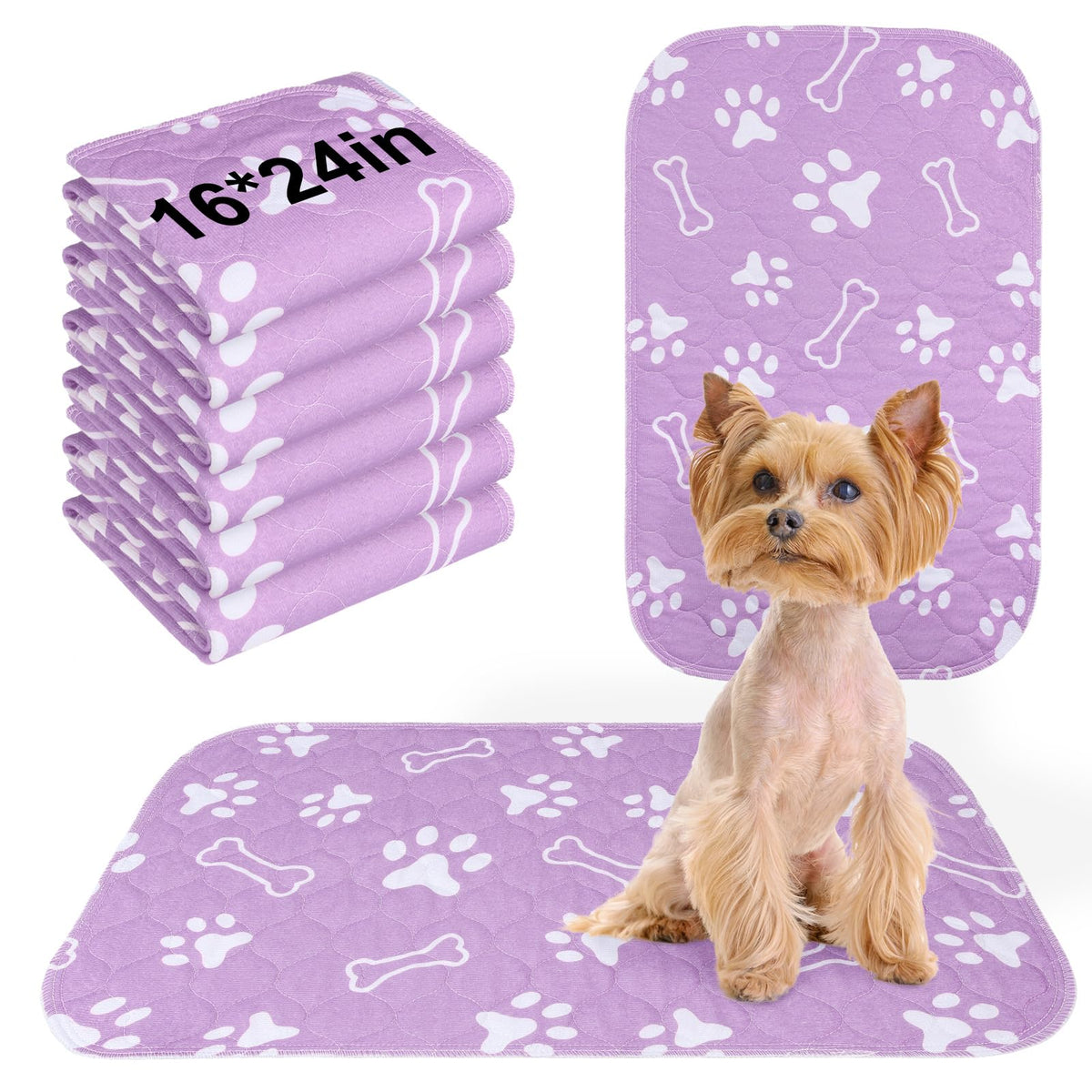 BEAUTYZOO almohadillas-entrenamiento-perros 16x24 mantienen seco el suelo durante el entrenamiento