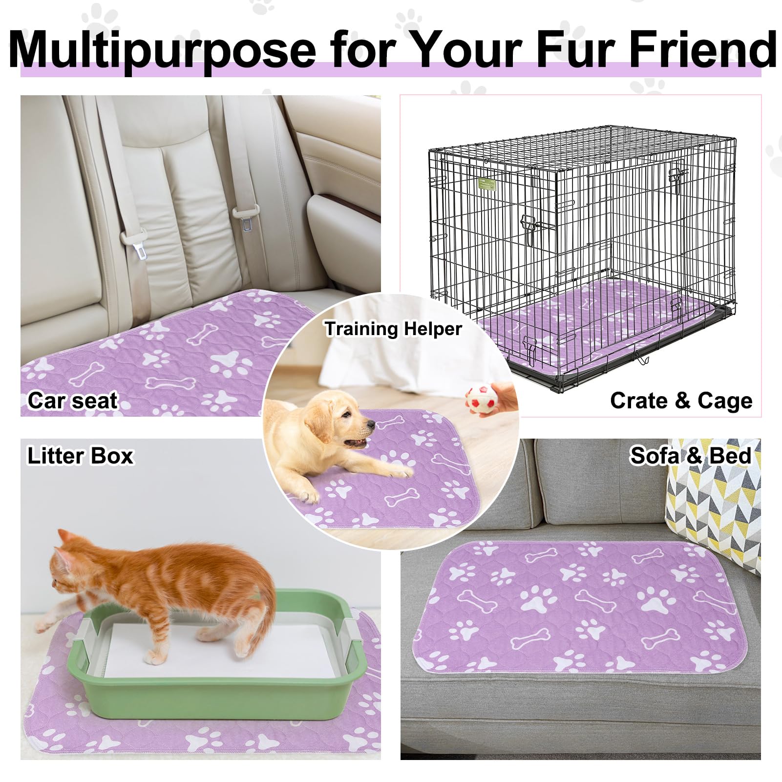 BEAUTYZOO almohadillas multipropósito ideal para coche jaulas y muebles