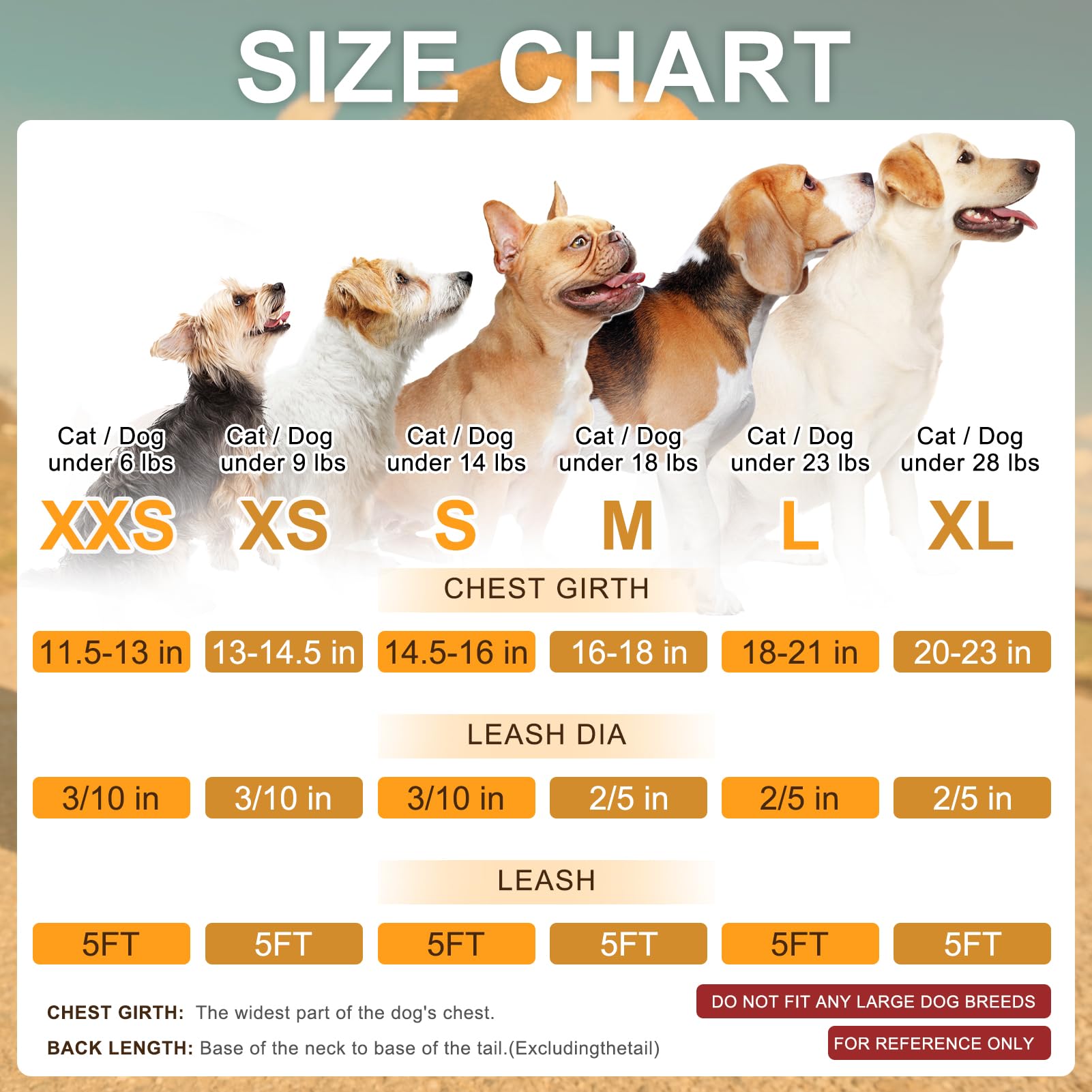 BEAUTYZOO arnes-acolchado-ligero: malla transpirable para perros activos