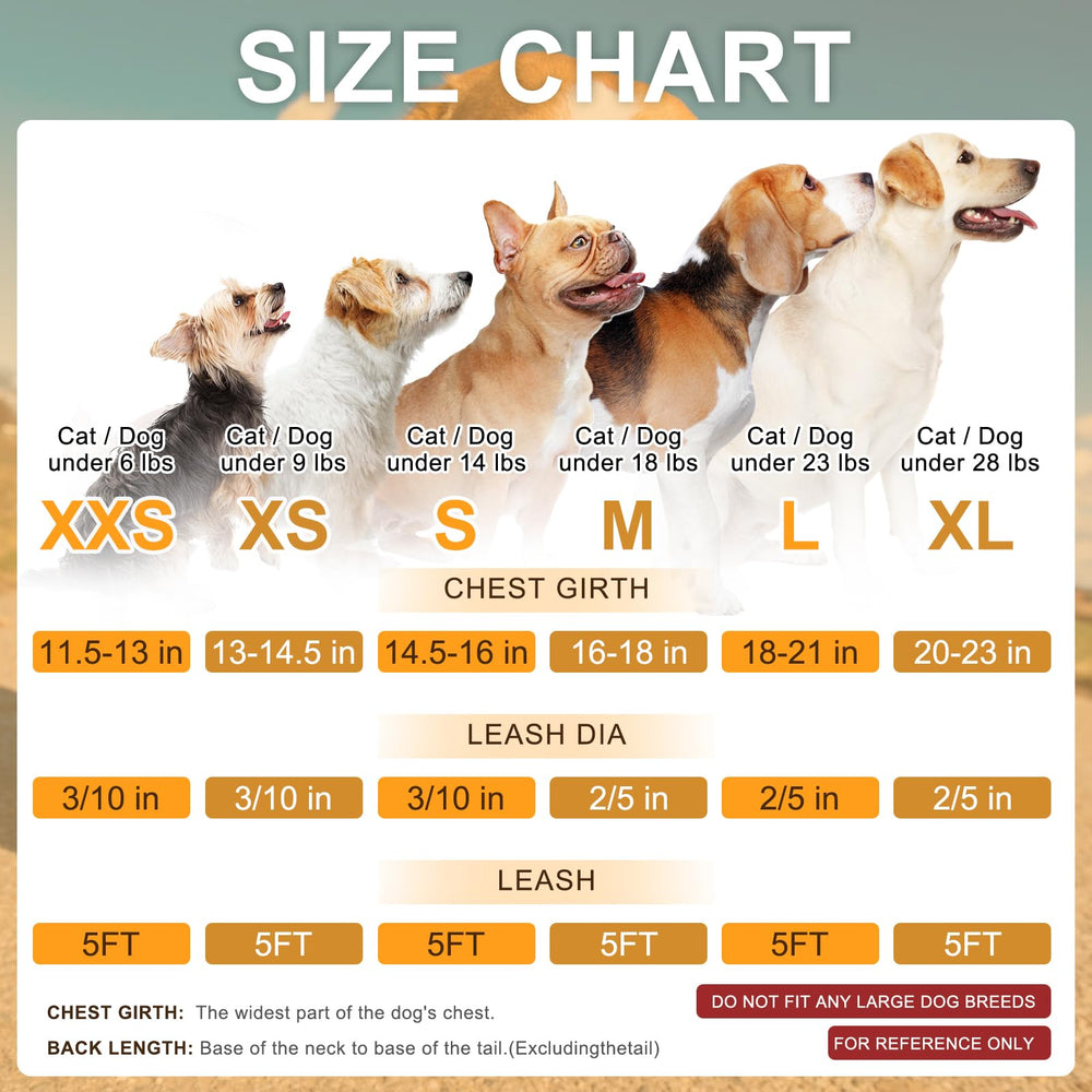 BEAUTYZOO arnes-acolchado-ligero: malla transpirable para perros activos