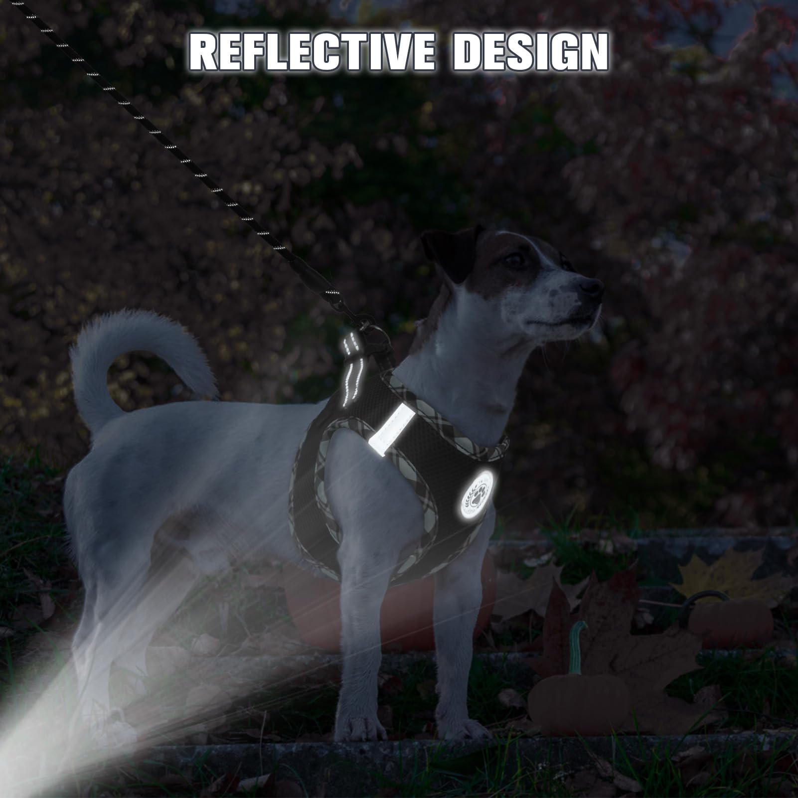 BEAUTYZOO arnés ajustable con bandas reflectantes para mayor visibilidad.