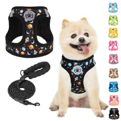 Arnés BEAUTYZOO para perro pequeño con malla acolchada, cómodo para paseos diarios.