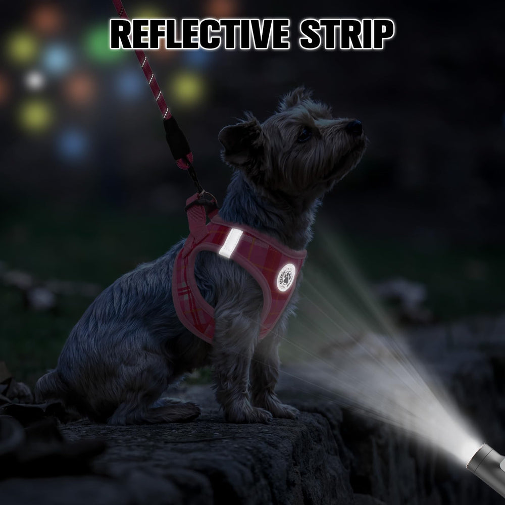 Arnés BEAUTYZOO con tiras reflectantes para mayor visibilidad nocturna