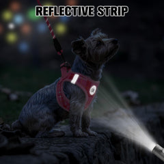 Arnés BEAUTYZOO con tiras reflectantes para mayor visibilidad nocturna