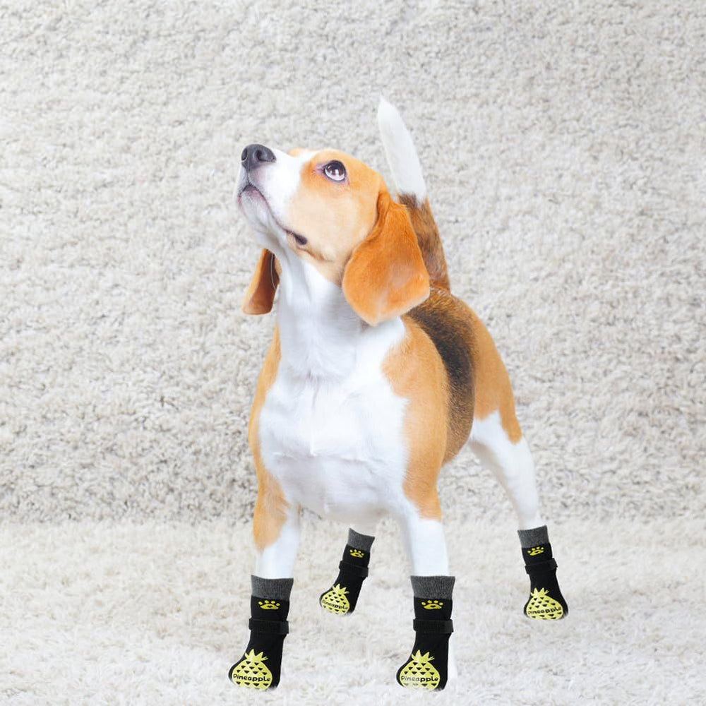 BEAUTYZOO calcetines paquete de seis, repuestos incluidos para mayor duración