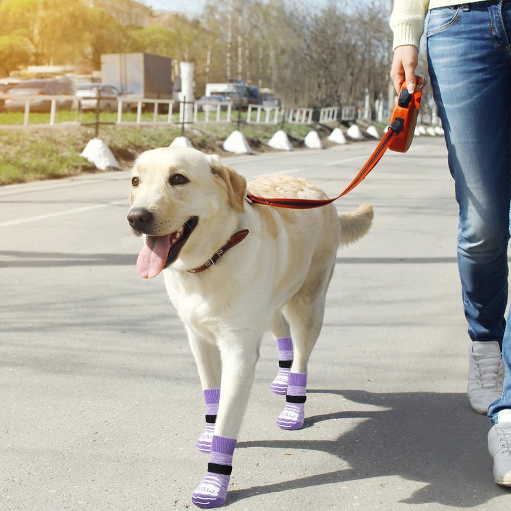 BEAUTYZOO calcetines para perros adecuados para tallas pequeñas y medianas