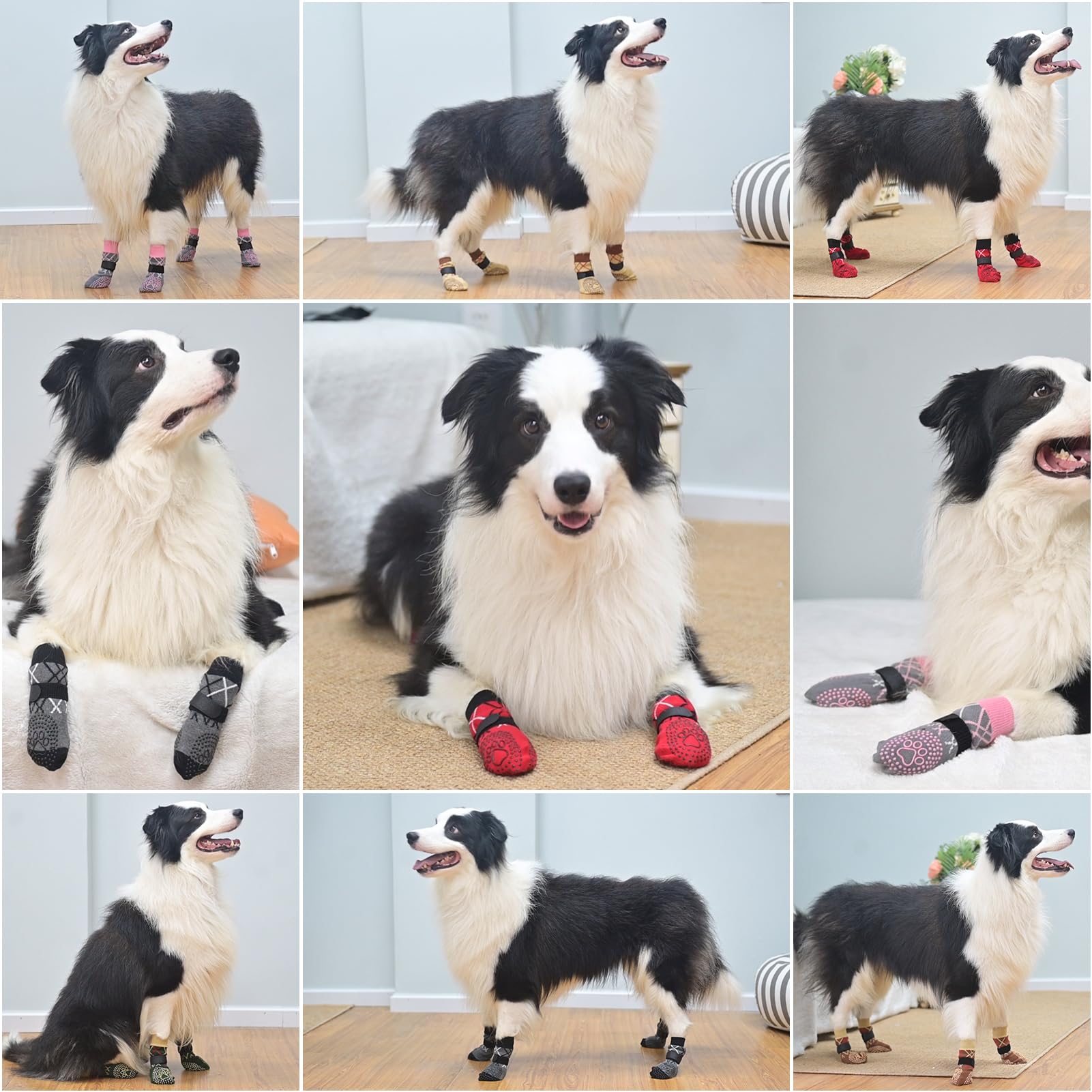 BEAUTYZOO calcetines-perro-uso-interior-confort aptos para suelos duros y madera.